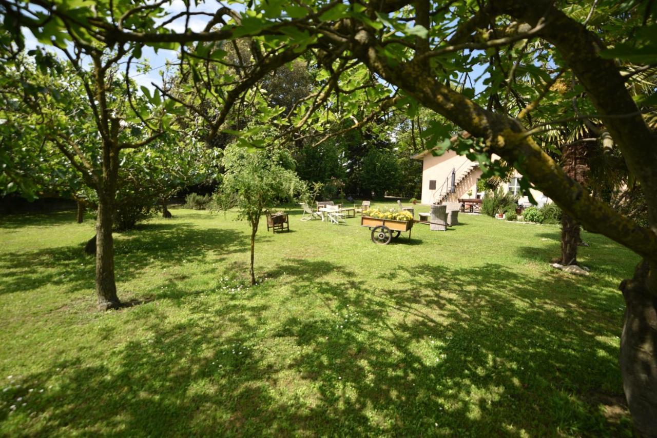Capannone111 Bed & Breakfast Castiglione di Ravenna Exterior photo